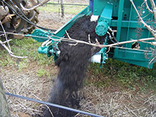 The Seymour Mulch Spreader 3650